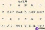 己酉日生人吉凶论断