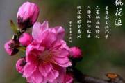 桃花运快速催旺的方法 桃花运快速催旺的方法