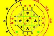 伤官是什么意思,伤官代表什么