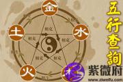 旅卦事业,旅卦的启示
