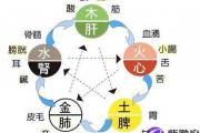 五行属土的人性格有何特点