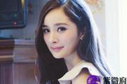 丰卦财运,周易丰卦