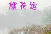 感情风水中的双刃剑桃花运