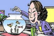 如何正确利用鱼缸催财转运 如何正确利用鱼缸催财转运