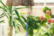 居家摆放鲜花旺财风水知识 居家摆放鲜花旺财风水知识