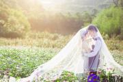 算命己酉日生怎么看婚姻