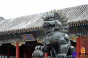 中国企业管理者应该更多的学习易经