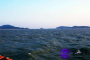 海中金命适合什么适合买房