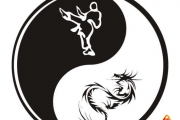 中医阴阳五行学说