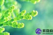 七杀格的男命及七杀格男命性格事业揭秘