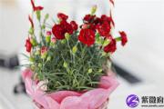 八字财运分析 什么样的格局是有钱人的八字