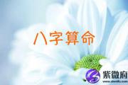 水墨先生最新提供免费阴历算命生辰八字