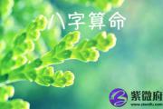 免费算命生辰八字2017最新版