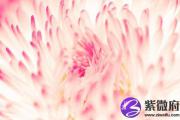 大海水命的婚姻 路旁土和大海水婚配