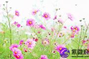 大海水配天上火 大海水怕什么