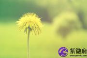 大海水是什么生肖 大海水命出生年份是什么生肖