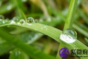 大海水命佩戴 大海水命佩戴什么好