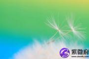 霹雳火遇大海水会怎么样 大海水能克霹雳火吗