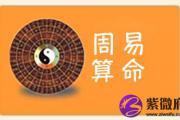 收藏！易经算命生辰八字软件