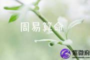 很多命主已测 周易八字免费算命