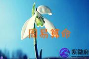 周易算生辰八字 易学专家推荐工具