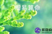 易学专家推荐 周易免费批八字测命运
