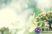 属蛇缺水应该佩戴什么五行缺水戴什么首饰