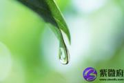 海中金和松柏木相克吗？可以在一起吗