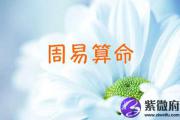 水墨先生提供易经免费算命生辰八字