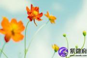 大溪水配什么命 75大溪水命配什么命好