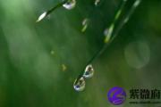 石榴木命的男人带什么？石榴木命适合佩戴什么