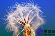 五行缺水用什么颜色 五行缺水白色好吗