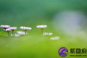 七杀格女命的特点 七杀格富豪八字分析