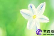七杀格女命是不是命苦 七杀格女命不一般
