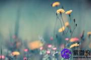 大海水命人适合做什么 适合什么方向