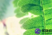 炉中火克钗钏金吗 炉中火克钗钏金怎么办