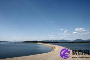 海中金克大林木吗 海中金和大林木大婚配