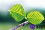 五行缺水好吗？五行缺水会影响什么
