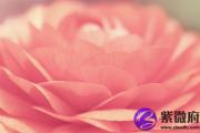 七杀格富豪八字分析 富贵命大腕：七杀格