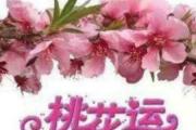风水崔婚姻
