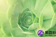 两个天乙贵人孤独命 天乙贵人是什么