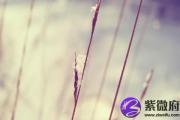 取名字用喜神还是用神 喜神和用神哪个重要