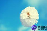 天乙贵人的生肖 属羊的天乙贵人是什么