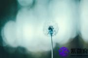 偏财格与七杀格 偏财带七杀