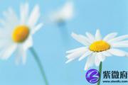 什么是天月德 女命带有天月二德