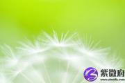 什么是羊刃有制 伤官和七杀羊刃格