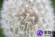魁罡贵人是什么意思？&*&*&魁罡贵人的作用