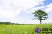 男女日柱地支相冲 日柱相冲怎么解