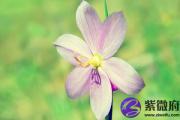 命里有华盖星的人怎么样？人缘好 财源广？