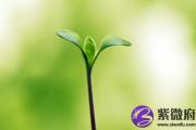 羊刃亡神同时出现 羊刃与亡神并存